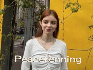 Peacefenning