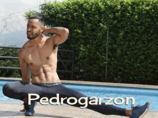Pedrogarzon