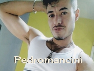 Pedromancini