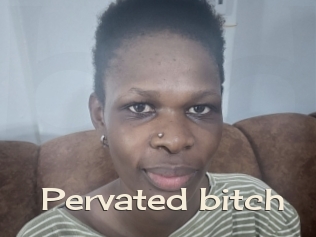 Pervated_bitch