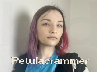 Petulacrammer