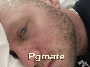 Pgmate