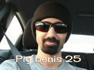 pig_benis_25 Big Dicks Round Ass