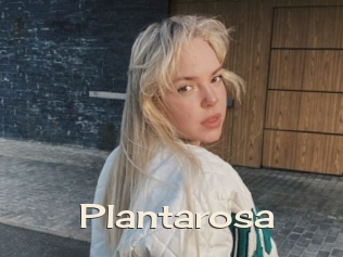 Plantarosa