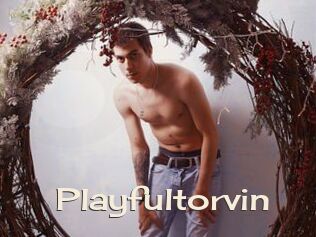 Playfultorvin