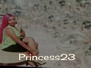 Princess23