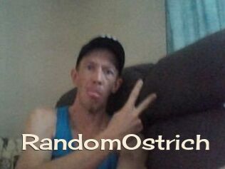 RandomOstrich