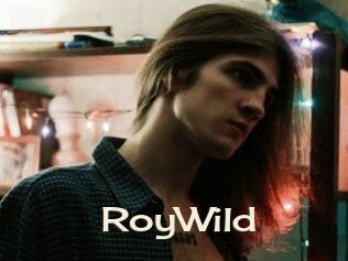 RoyWild