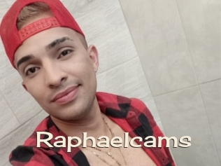 Raphaelcams