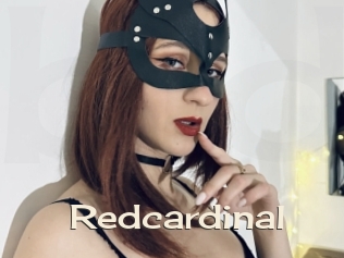 Redcardinal