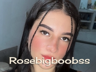 Rosebigboobss