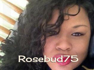 Rosebud75