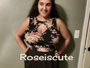 Roseiscute