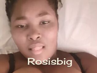 Rosisbig