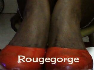 Rougegorge