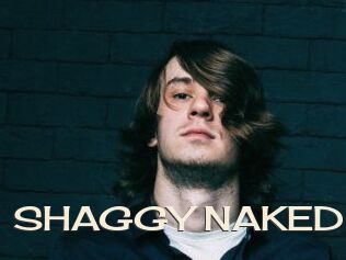 SHAGGY_NAKED