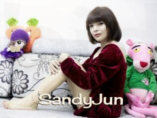 SandyJun