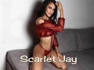 Scarlet_Jay