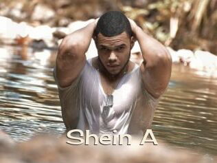 Shein_A