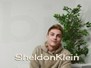 SheldonKlein