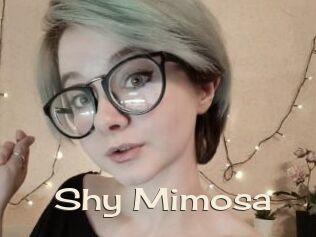 Shy_Mimosa