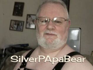 SilverPApaBear