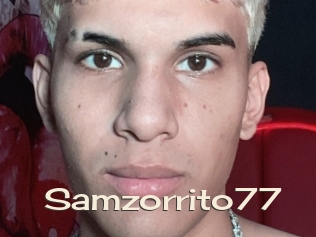 Samzorrito77