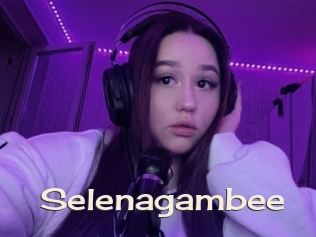 Selenagambee