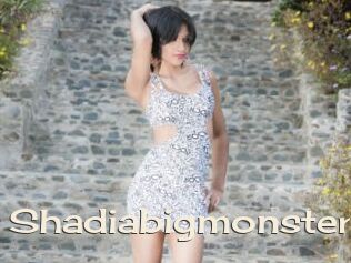 Shadiabigmonster