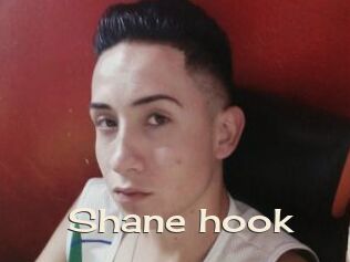 Shane_hook