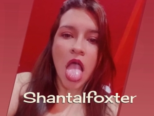 Shantalfoxter