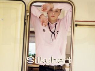 Silkybert
