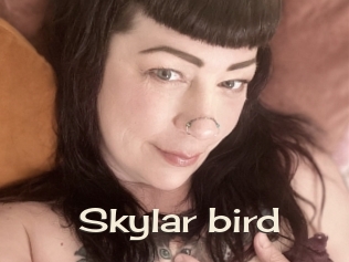 Skylar_bird