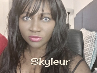 Skyleur