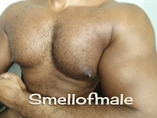 Smellofmale