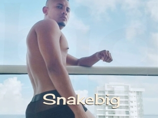 Snakebig