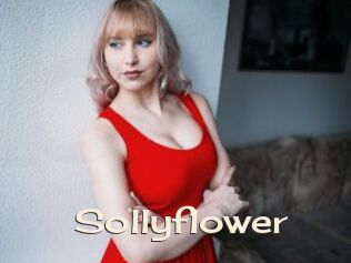 Sollyflower