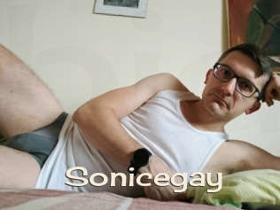 Sonicegay