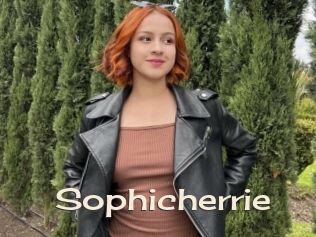 Sophicherrie