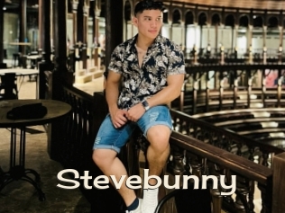 Stevebunny