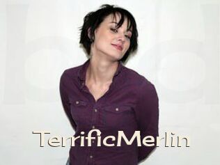 TerrificMerlin