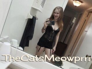 TheCatsMeowprrr