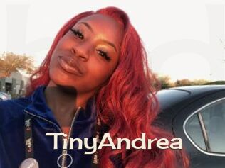 TinyAndrea