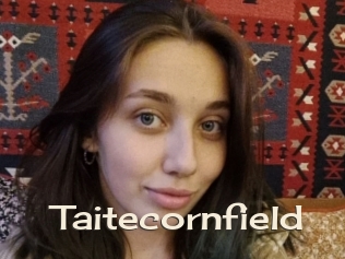 Taitecornfield