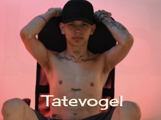 Tatevogel