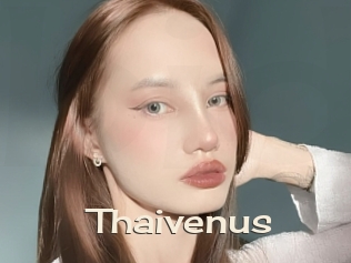 Thaivenus