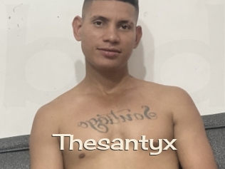 Thesantyx