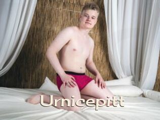 Urnicepitt