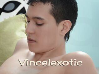 Vincelexotic