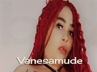 Vanesamude